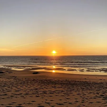 Sentir O Mar Árvore